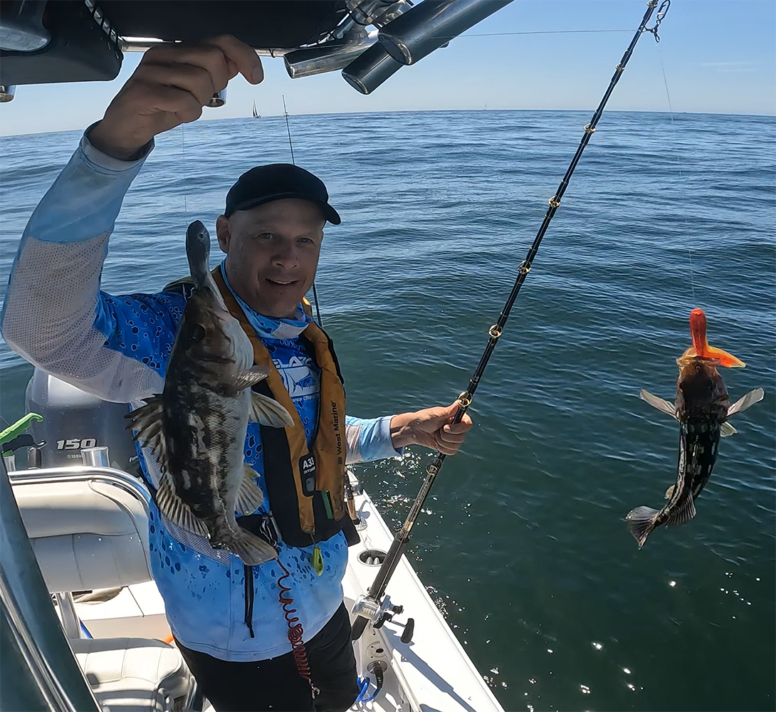 Jim Shaffer - Double Hookup on Calico Bass with Hookup Baits Double 1.5 oz