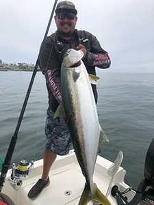 8/19/2023 Ron Lee - 32.4 lb Yellowtail