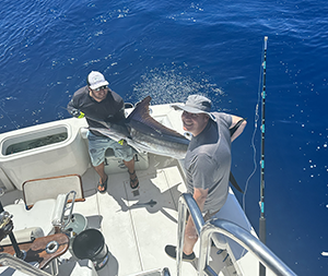 June 2023 Michael Jocher - Striped Marlin